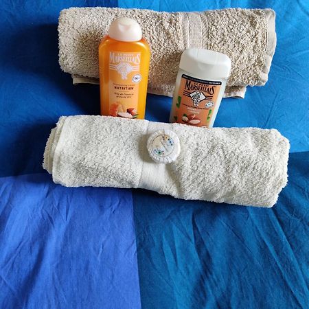 Petit Nid En Alsace Studio Independant Avec Salle De Douche Privative Buschwiller Luaran gambar